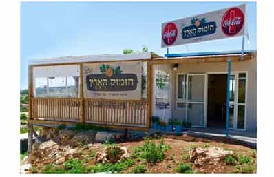 Hummus Haaretz image